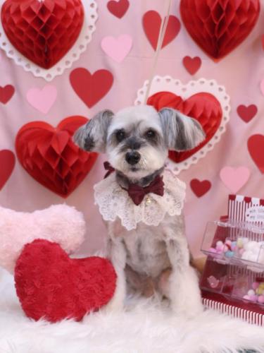 20240220来夢ちゃん